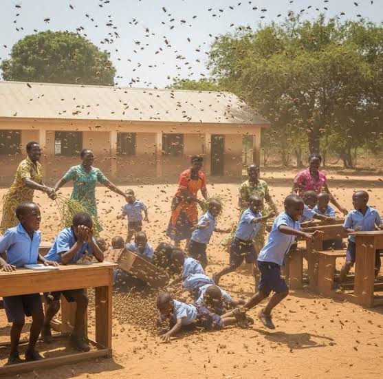 BEE ATTACK AT ANLOGA E.P. BASIC SCHOOL: CREP CALLS FOR URGENT SCHOOL SAFETY AUDIT AND PREVENTIVE MEASURES